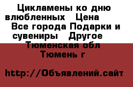 Цикламены ко дню влюбленных › Цена ­ 180 - Все города Подарки и сувениры » Другое   . Тюменская обл.,Тюмень г.